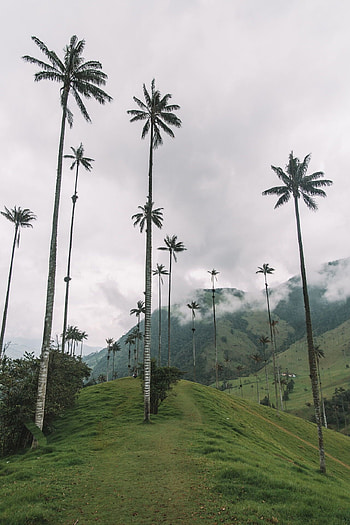 Explore Colombia, Travel inspiration, Must-visit places, Colombian wonders HD phone wallpaper