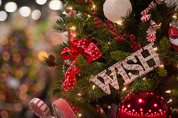 Merry Christmas!, craciun, christmas, green, red, deco, card, wish, tree HD wallpaper