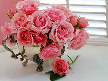 Roses for Ramy, pink, roses, birtay, gift, arrangement HD wallpaper