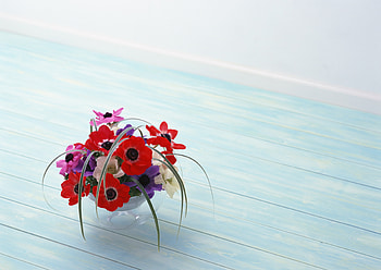Plants, Flowers, Bouquets HD wallpaper