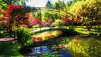 Bridge in Gibbs Garden, Northern Georgia, blossoms, river, summer, trees, irises, flowers, usa HD wallpaper