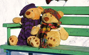 Bears, Love, Couple, Pair, Stroll, Date, Situation, Situations HD wallpaper