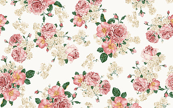 Pink roses, light, pink, white, , roses, , backgrounds HD wallpaper