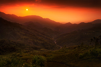 Nature, Sunset, Sun, Bush, Hills HD wallpaper