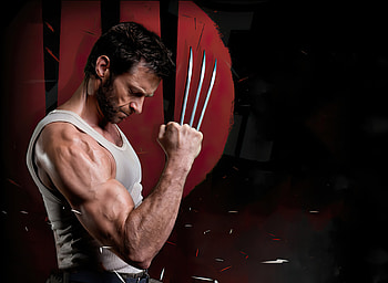 The Wolverine, Hugh Jackman, , Background HD wallpaper
