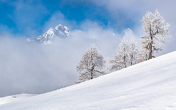 Winter in Slovenia, mountain, Slovenia, winter, national park, snow, trees HD wallpaper