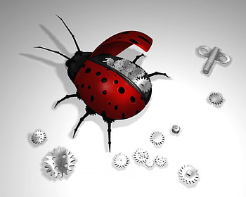 LadyBird Storage, ladybird, metal gears, winder, storage HD wallpaper