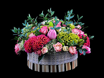 Plants, Flowers, Background, Bouquets HD wallpaper