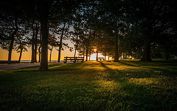 Landscape, Trees, Sunset HD wallpaper