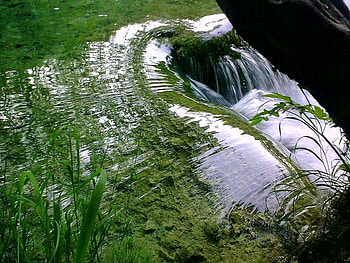 Plitvice lakes, lakes, clean, green, nature, plitvice, clear, croatia HD wallpaper