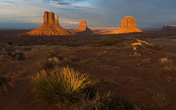 Nature, Desert, Vegetation, Shadow, Evening, Canyons HD wallpaper