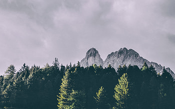 Peitlerkofel, mountain of the Dolomites, Alps, mountain landscape, green trees, South Tyrol, Italy HD wallpaper
