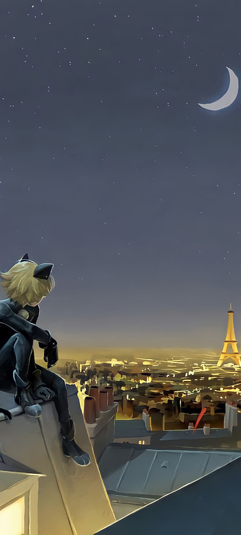 Cat Noir, Miraculous, Adrien Agreste, Ladybug, Chat Noir HD phone wallpaper