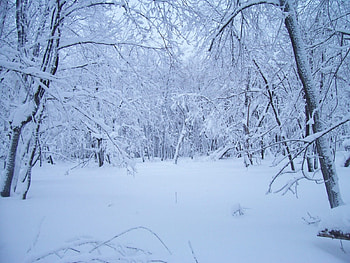 Landscape, Winter, Snow HD wallpaper