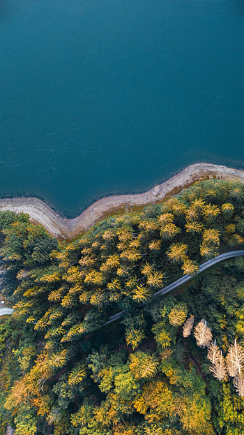 Nature, Water, Trees, View From Above, Coast, Road, Forest HD phone wallpaper
