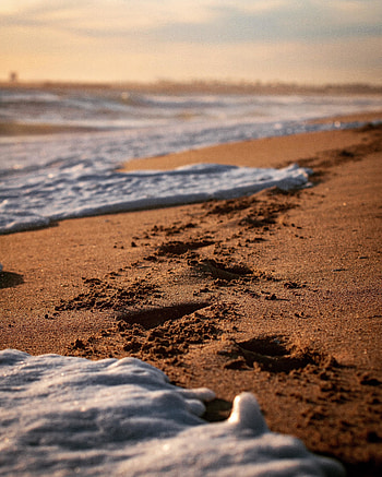 Foam, beach, close up, sand HD phone wallpaper