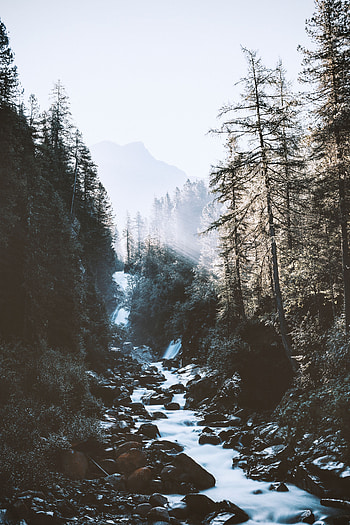Landscape, Nature, Rivers, Mountains, Shine, Light, Forest, Morning HD phone wallpaper