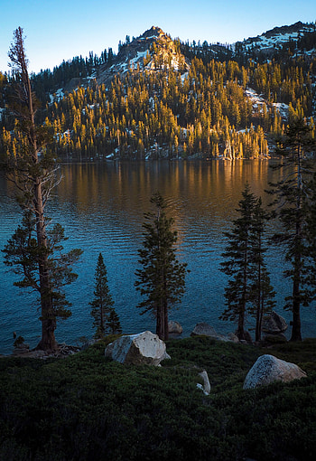 Trees, Nature, Stones, Mountain, Lake, Shore, Bank HD phone wallpaper