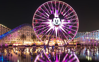 Disneyland, Amusement park, Fountain, Nighttime HD wallpaper