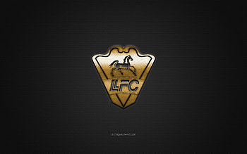 Llaneros FC logo, Colombian football club, gold logo, gray carbon fiber background, Categoria Primera B, football, Villavicencio, Colombia, Llaneros FC HD wallpaper