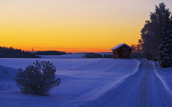 Winter near Jessheim, Norway, landscape, trees, sunset, snow, house HD wallpaper