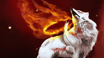 ... Background Full . abstraction, fire, wolf, gray, light HD wallpaper