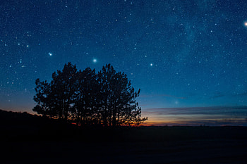 Landscape, Trees, Stars, Night, Dark, Starry Sky HD wallpaper