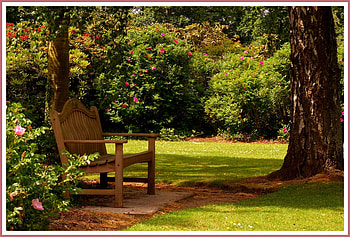 Beautiful place, bench, place, other, beautiful, grass, wonderful, beauty, vegetation, park, background, green, trees, flowers, nture HD wallpaper