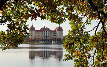 Moritzburg Castle in Germany, castle, Germany, oak, water HD wallpaper