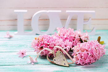 With Love , pink, love, beautiful, flowers, heart, valentine day, lovely HD wallpaper