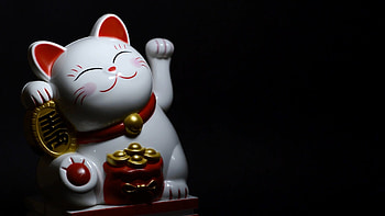 Japanese Lucky Cat, Lucky cat , Sarah Thompson, Lucky cat HD wallpaper