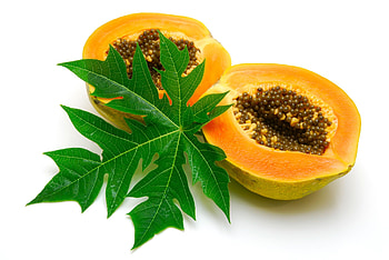 Ice cream paradise, Papaya flavor, Expert opinions, Delicious treat HD wallpaper