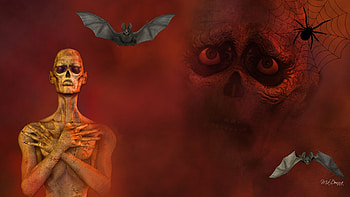 Things from the Dark, gothic, firefox persona, skeleton, goth, spider, halloween, scay, ghoul, web, bats HD wallpaper