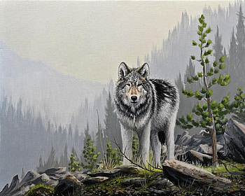 Grey King of Mountains, animal, trees, mountains, wolf, grey HD wallpaper