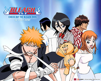 bleach, ichigo, kon, rukia, kurosaki, uryuu, kuchiki, bleach, anime, chad HD wallpaper