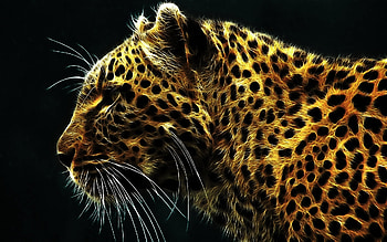 Animals, Art, Leopards HD wallpaper