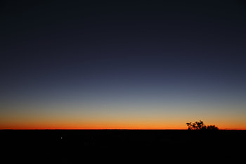 Sky, Twilight, Bush, Horizon, Dark, Dusk, Gradient HD wallpaper