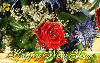 happy newyears to all on dn, gorgeous, wishes, newyears, beautiful HD wallpaper