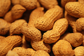 Nut , Crunchy munchies, Nuts galore, Healthy nibbles HD wallpaper