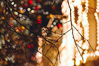 Glare, Miscellanea, Miscellaneous, Blur, Smooth, Branches HD wallpaper