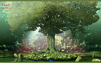 Fantasy - Forest HD wallpaper