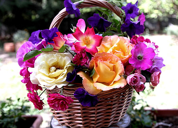 Flowers, Roses, Carnations, Basket, Petunia HD wallpaper