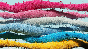 Microsoft Lgbtq, microsoft, computer HD wallpaper
