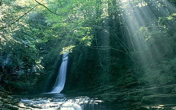 Waterfalls, Water, Nature, Trees HD wallpaper
