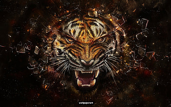 Tiger's Revenge, candikisses, rosarina, kelly-s, alandra66, toondiva, princesssa HD wallpaper