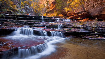 Waterfalls in the forest, other, waterfalls, nature, entertainment HD wallpaper