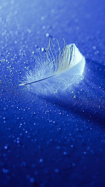 Unique, Feather HD phone wallpaper