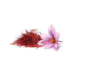 Saffron, Welcome Ziarat saffron HD wallpaper
