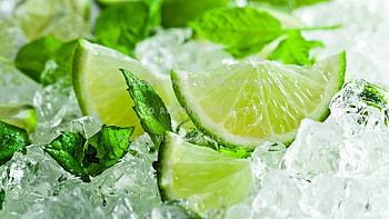 Lime and ice, Mint Plant HD wallpaper