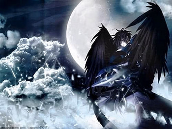 Cruel Angle, wings, black, lonely, cant think of a fourth HD wallpaper